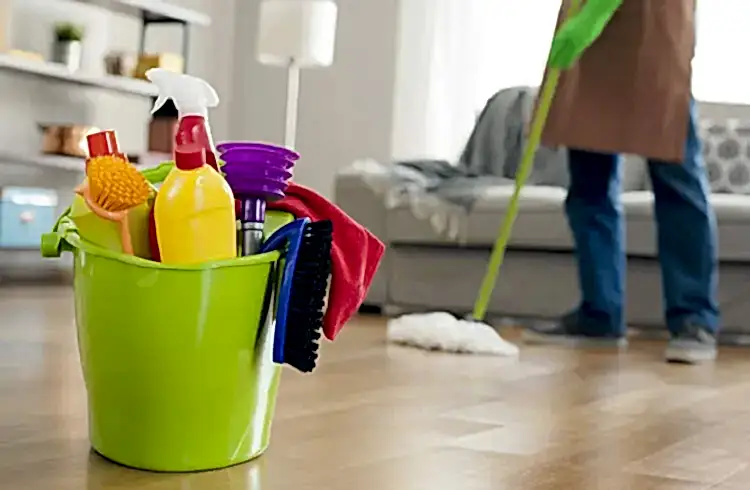Ev Temizliği