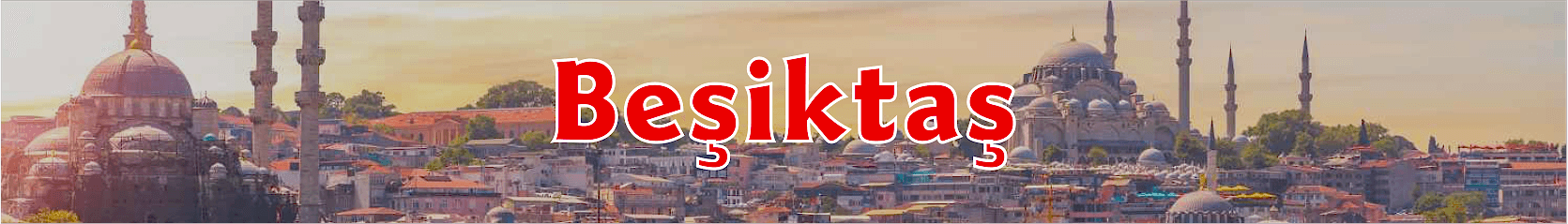 Beşiktaş