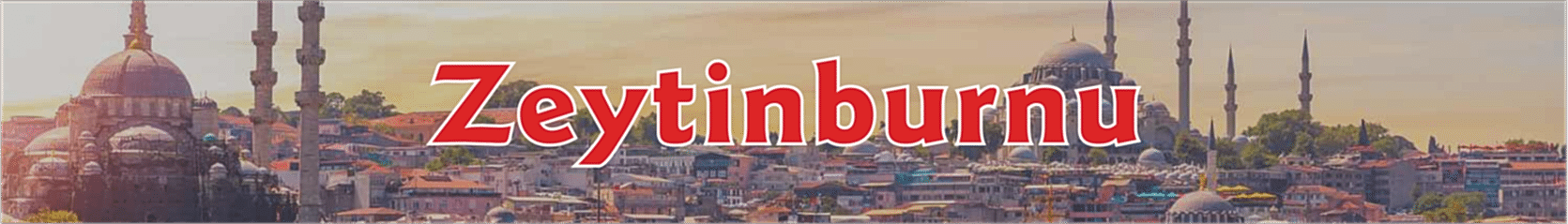 Zeytinburnu